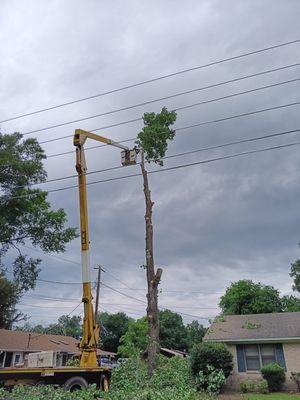 Mathews Tree and Dirt Service