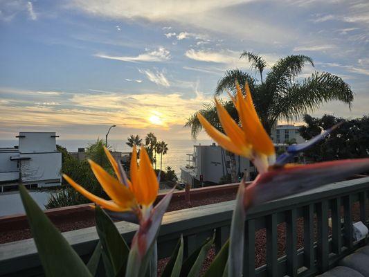 View from the rooftop lounge area.