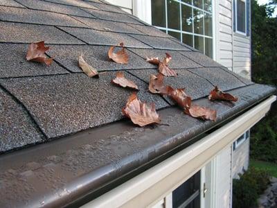 Gutters, cover, and cleaning