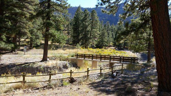 The bridge from the Fletcher Canyon trailhead is a connection to an Autumn scene of wildflower blooms and Bristlecone pines.