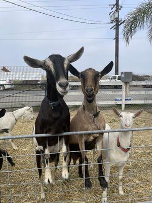 Our greeters...