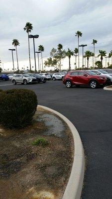 I can't warm up to the look of these cars. Not attractive.