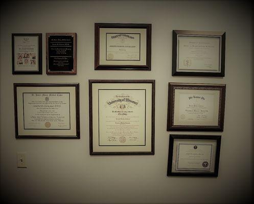 Dr. Catalano's Credentials