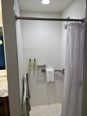 Handicapped equipped rooms - Shower