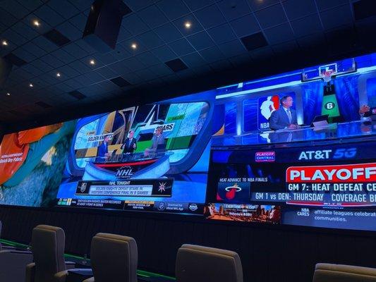 Sports screens