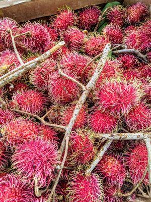 Rambutan