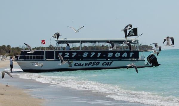 Island Boat Adventures. Tours to Eggmont Key right from the hotel.