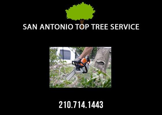 Residential Tree Stump Removal