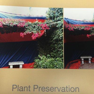 Experts in plant preservation