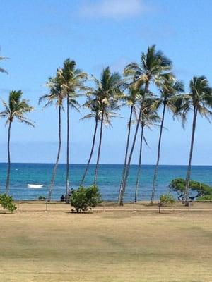 Kapaa beach park across the street