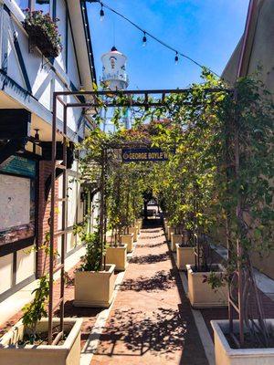 This is the alley to look for off the main street . . .