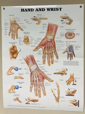 Armworks Hand Therapy Lake Oswego