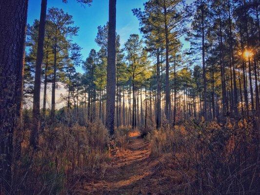 New Years hike!