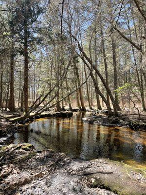 Vernal stream