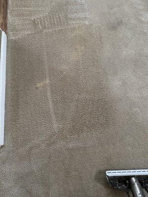 Large Stain Removed