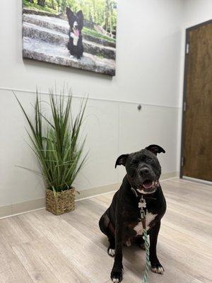 Clean, great smelling exam rooms!