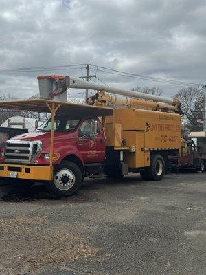 Lyon Tree Service