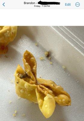 Crab Rangoon with dead wasp fried to my food