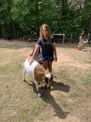 Grandaughter with a Goat. She want to take the goat home. ????