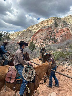 guides on horseback