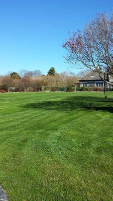 Lawn Care Bridgehampton