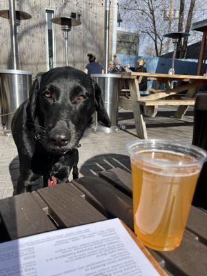 Great dog friendly patio with heaters for cooler days.