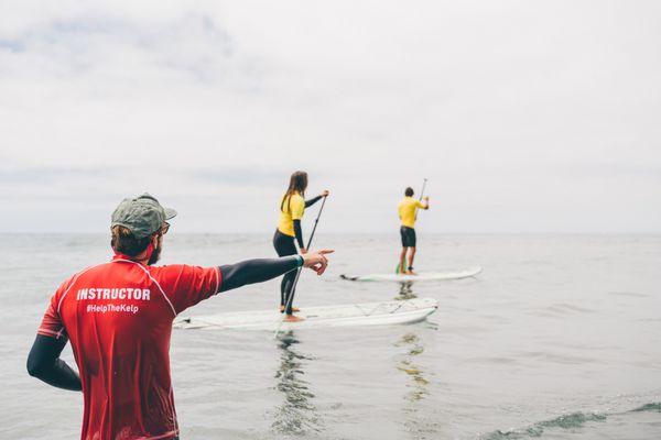 Basic fundamentals of paddleboarding