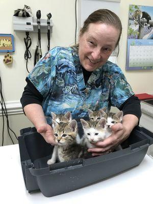 Dr. Smith and a litter of five kittens that came in for their first check up- they got de wormed, earmite & flea meds