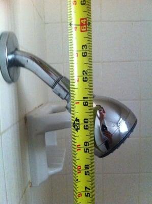 Low shower head