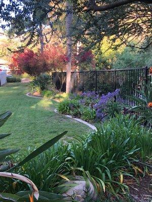 new side yard fence with removable panel