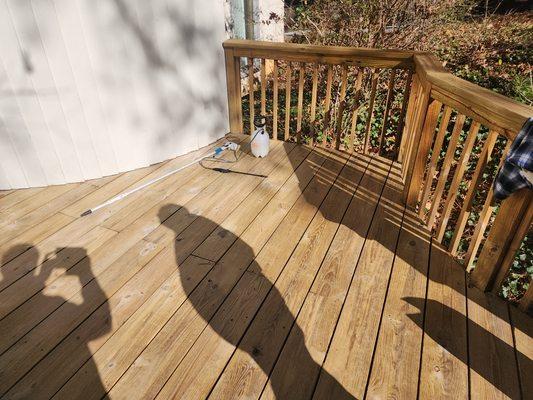 Deck Staining