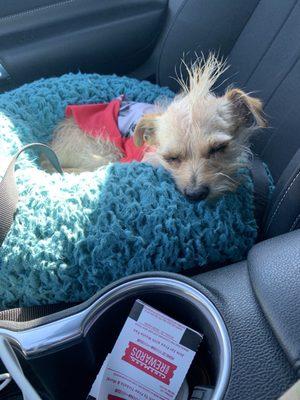 He loves the car & being with his mama!