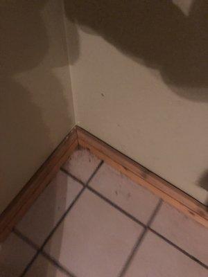 Corner tile not vacuumed