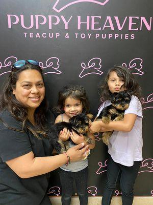 Family adopts two Yorkie puppies at Puppy Heaven Las Vegas