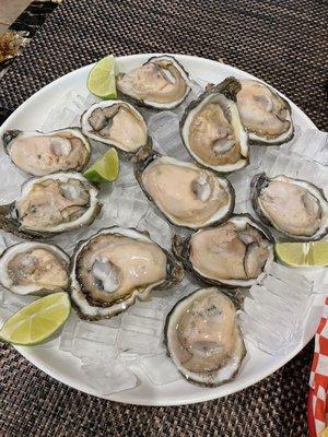 Fresh Oysters