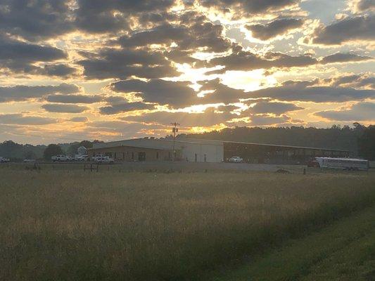 Calhoun Stockyard