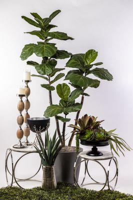 Artificial Fig Tree & Succulents