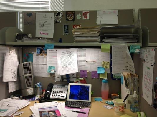 My desk. Organized chaos