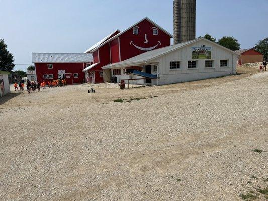 Kitten barn and goats