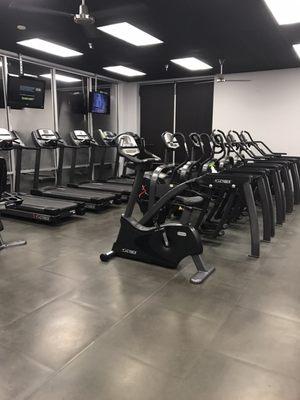 Cybex cardio equipment