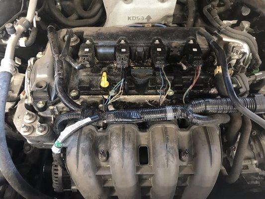 Critters damaged the engine wiring harness on a 2016 Mazda CX-5.  We are replacing the engine harness.