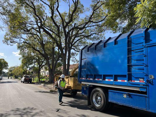 Crew member cleaning the street after tree trimming