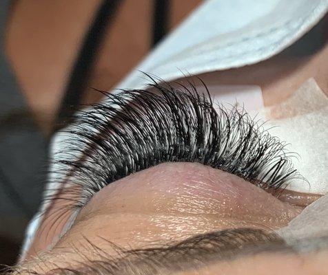 Hybrid lashes