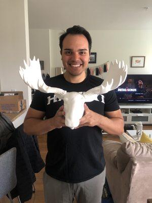 We found a moose for our house! My partner loves mooses!