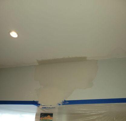 Wall and Ceiling Repair and Painting - This is during plastering.
 We fix leaks as well.