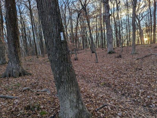 Appalachian Trail at the Pawling Nature Reserve