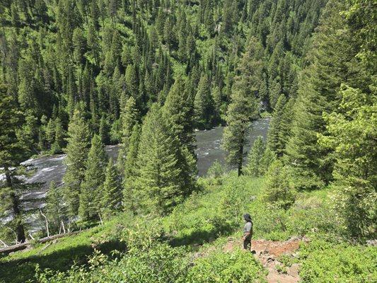 Off road trail to the top of Lower Mesa Falls