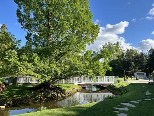 Wedding bridge