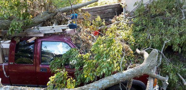 Storm damage continued