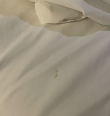 Blood stains on sheets?